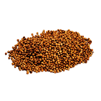 パクチーシード