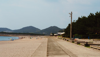 黒川みかん農園さん