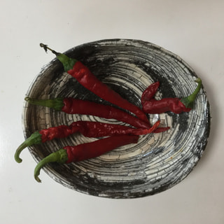 美山の畑のオーナー河野さんから、大きな長いししとうを頂きました。